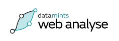 Logo datamints Web Analyse